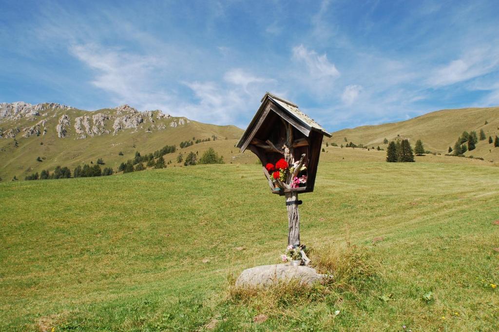 Cimon Dolomites Hotel Предацо Екстериор снимка