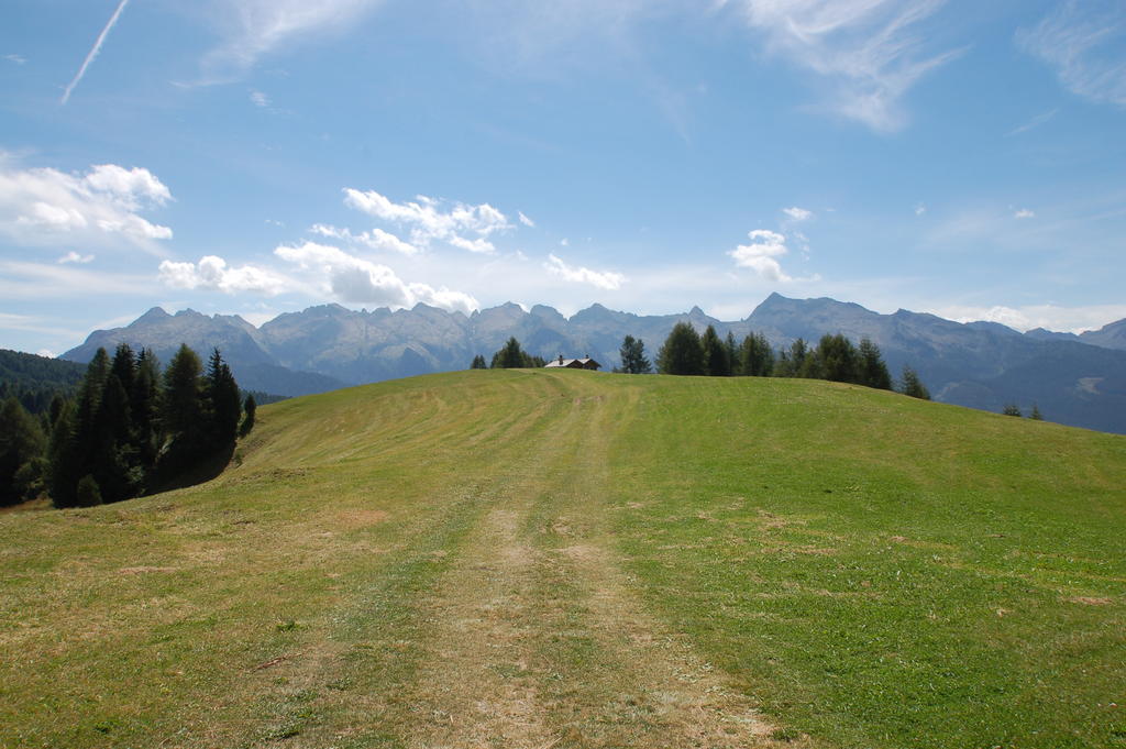 Cimon Dolomites Hotel Предацо Екстериор снимка