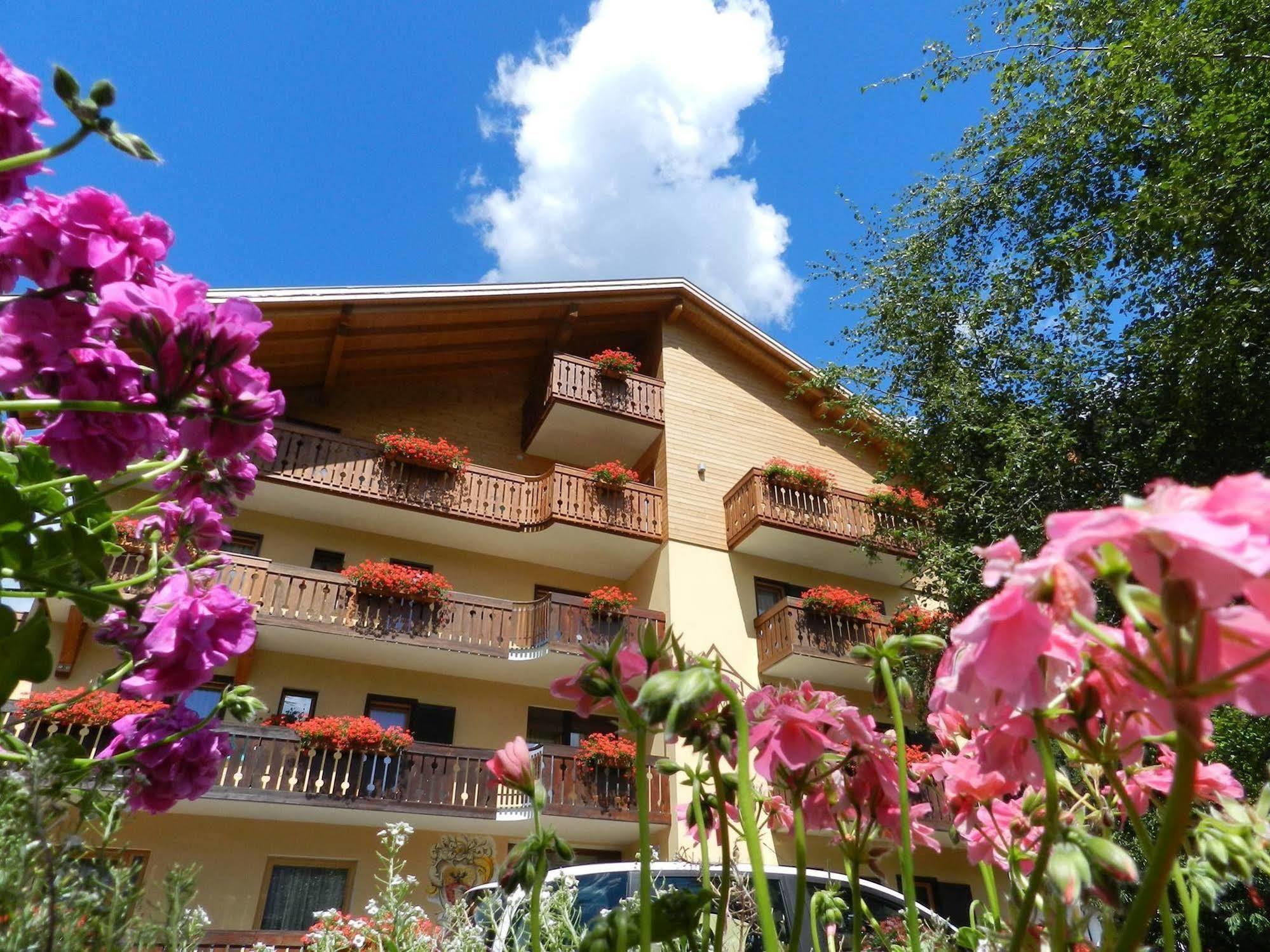 Cimon Dolomites Hotel Предацо Екстериор снимка